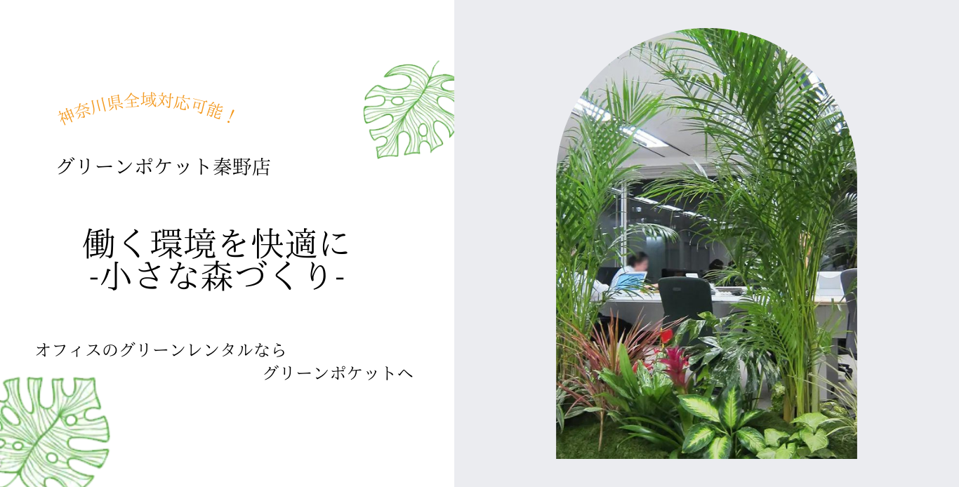 神奈川観葉植物レンタル