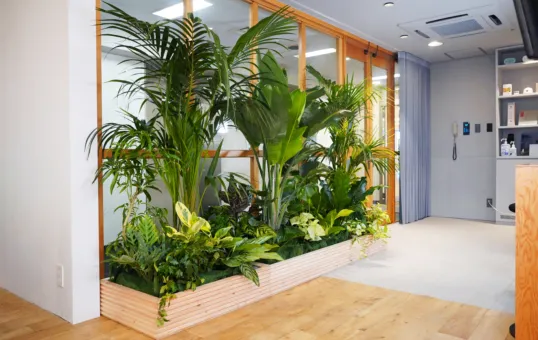 観葉植物レンタル・グリーンレンタル